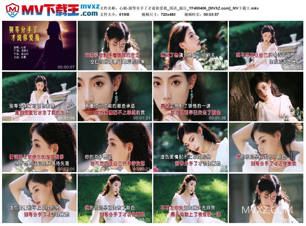 心姐-别等分手了才说你爱我_国语_流行_YF400406